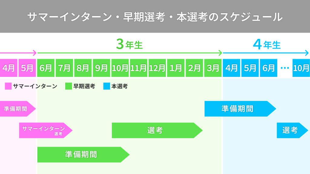 サマーインターン・早期選考・本選考のスケジュール